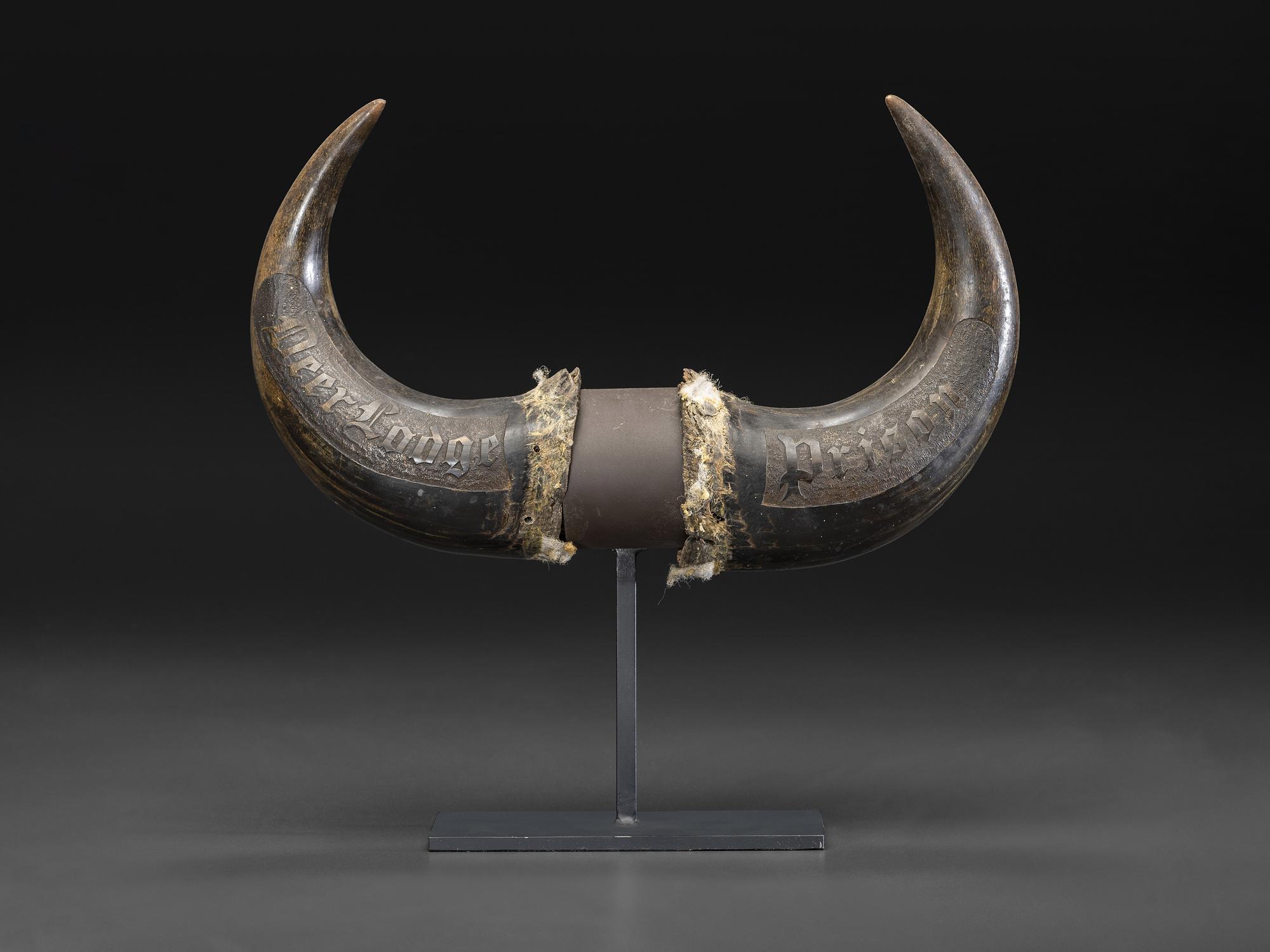 A Pair of Montana Prisoner Folk Art Carved Bison Horns