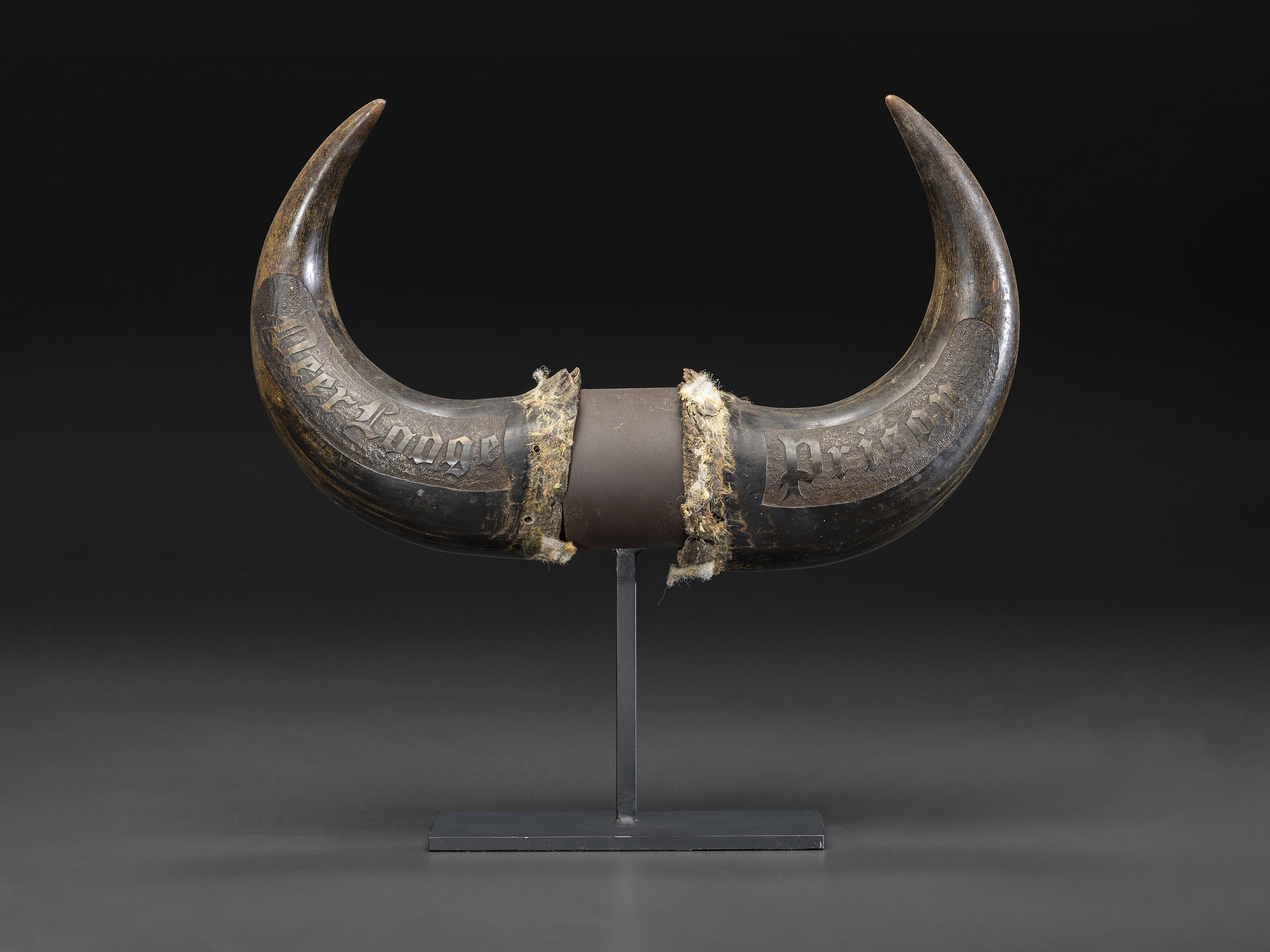 A Pair of Montana Prisoner Folk Art Carved Bison Horns