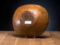 Great Lakes Ash Burl Bowl