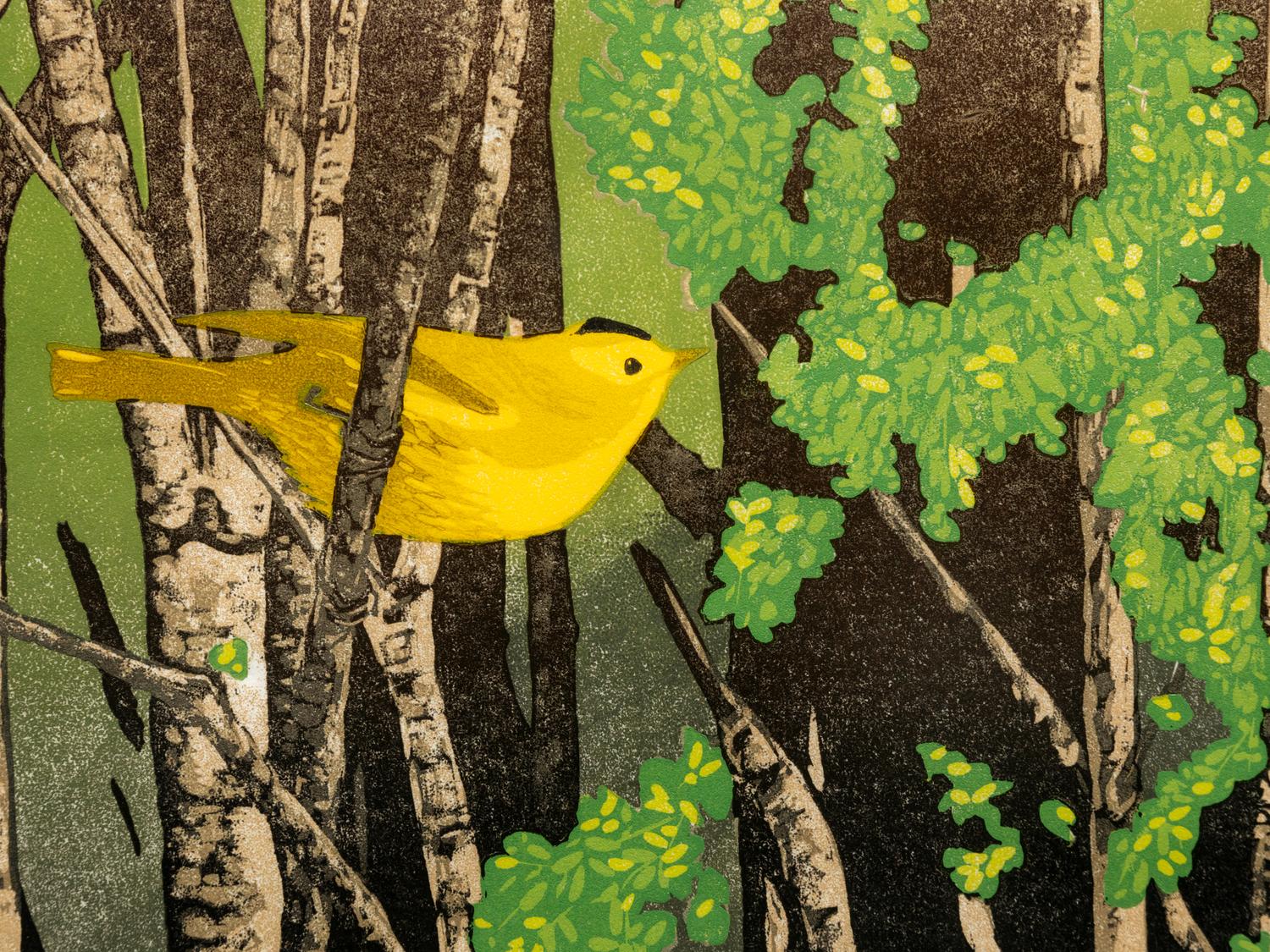 Wilson's Warbler, 10/30, 2005
