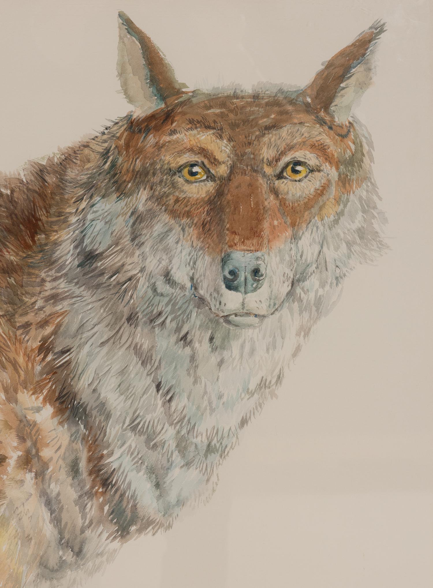 Wolf , 1976