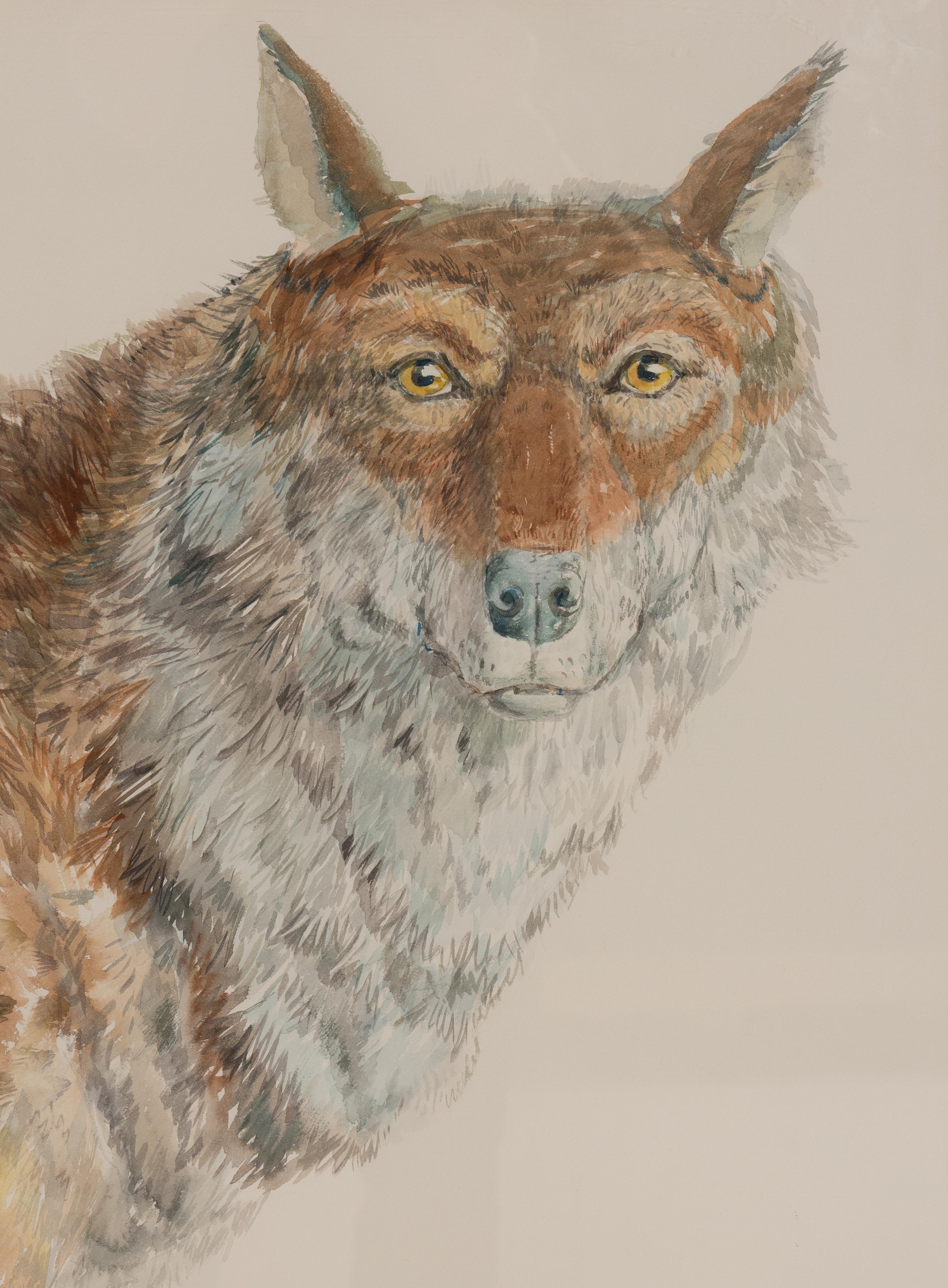 Wolf , 1976