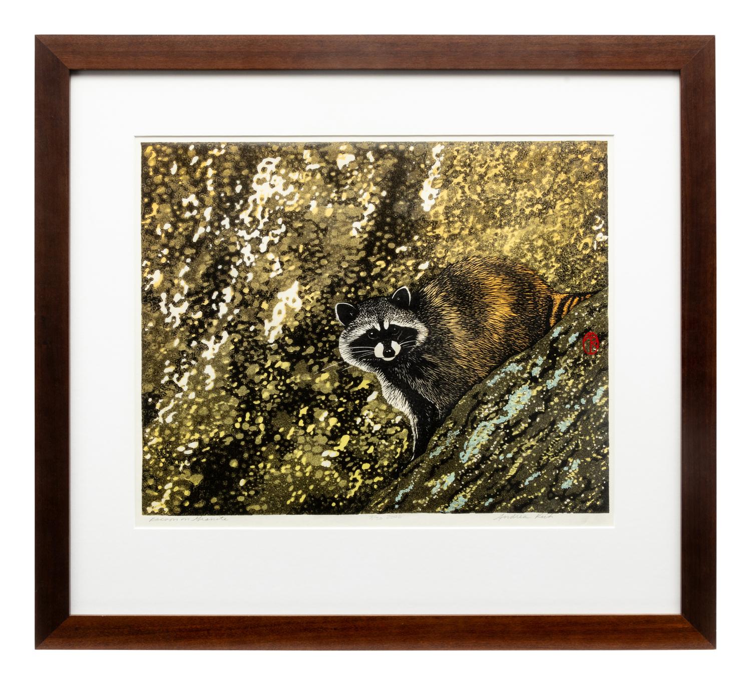 Racoon on Granite, 3/30, 2006