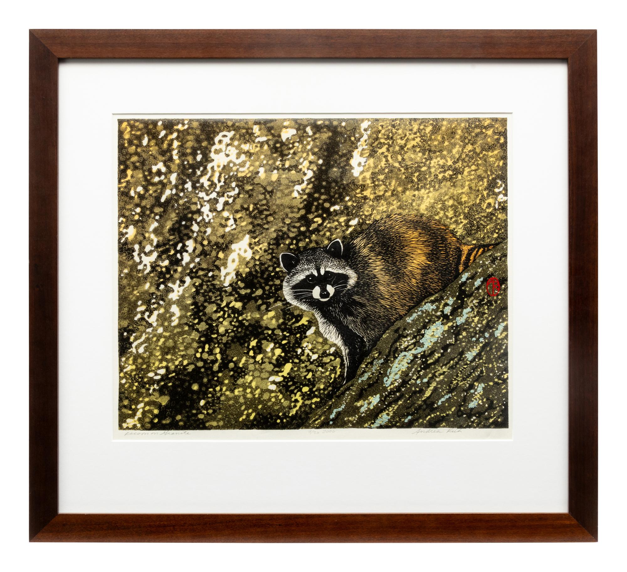 Racoon on Granite, 3/30, 2006