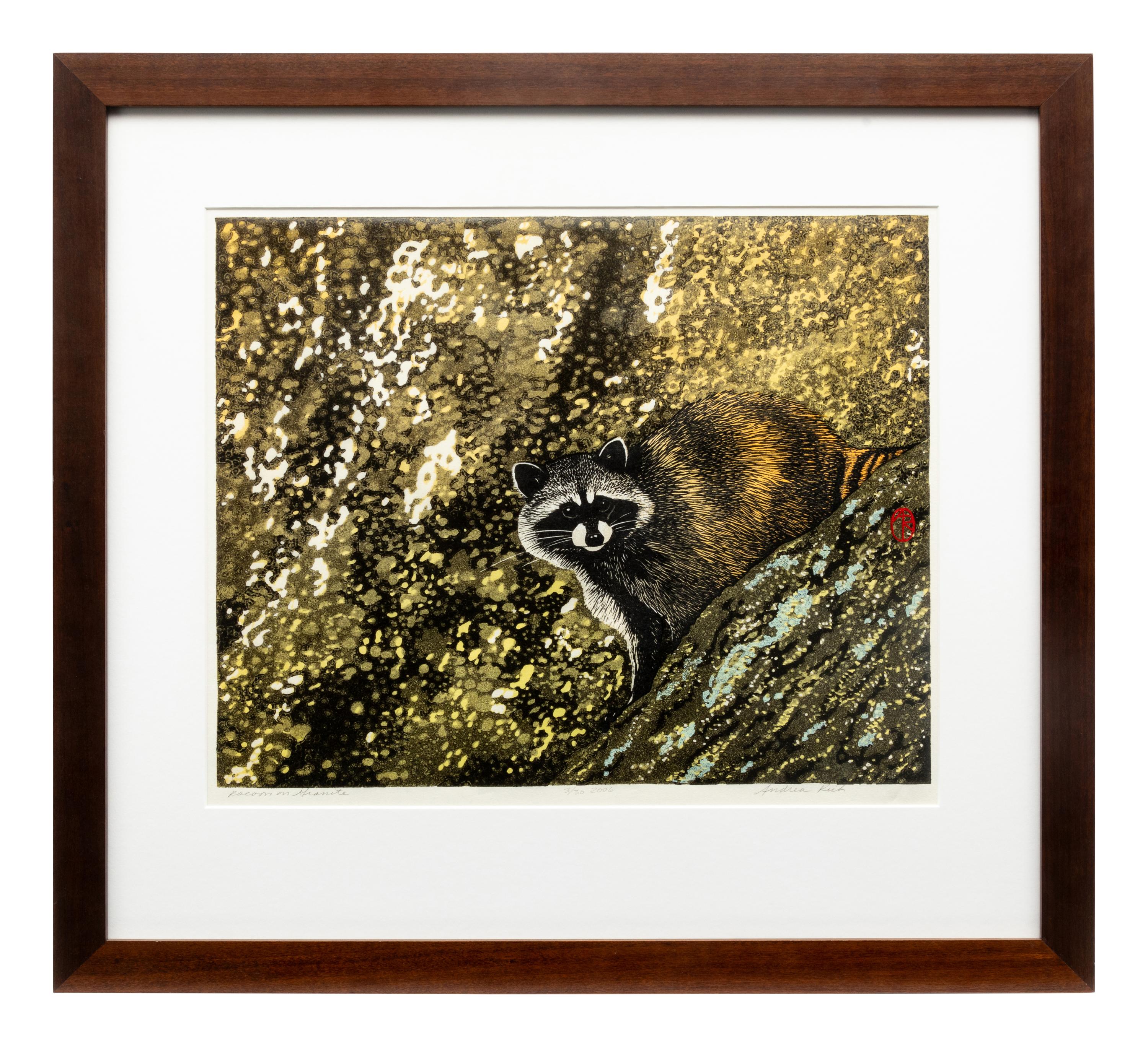 Racoon on Granite, 3/30, 2006