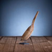 Northwest Coast Big Horn Sheep Spoon