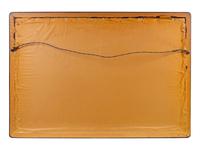 A Chinese Reverse Painted Mirror Panel in Rosewood Frame — 19TH CENTURY