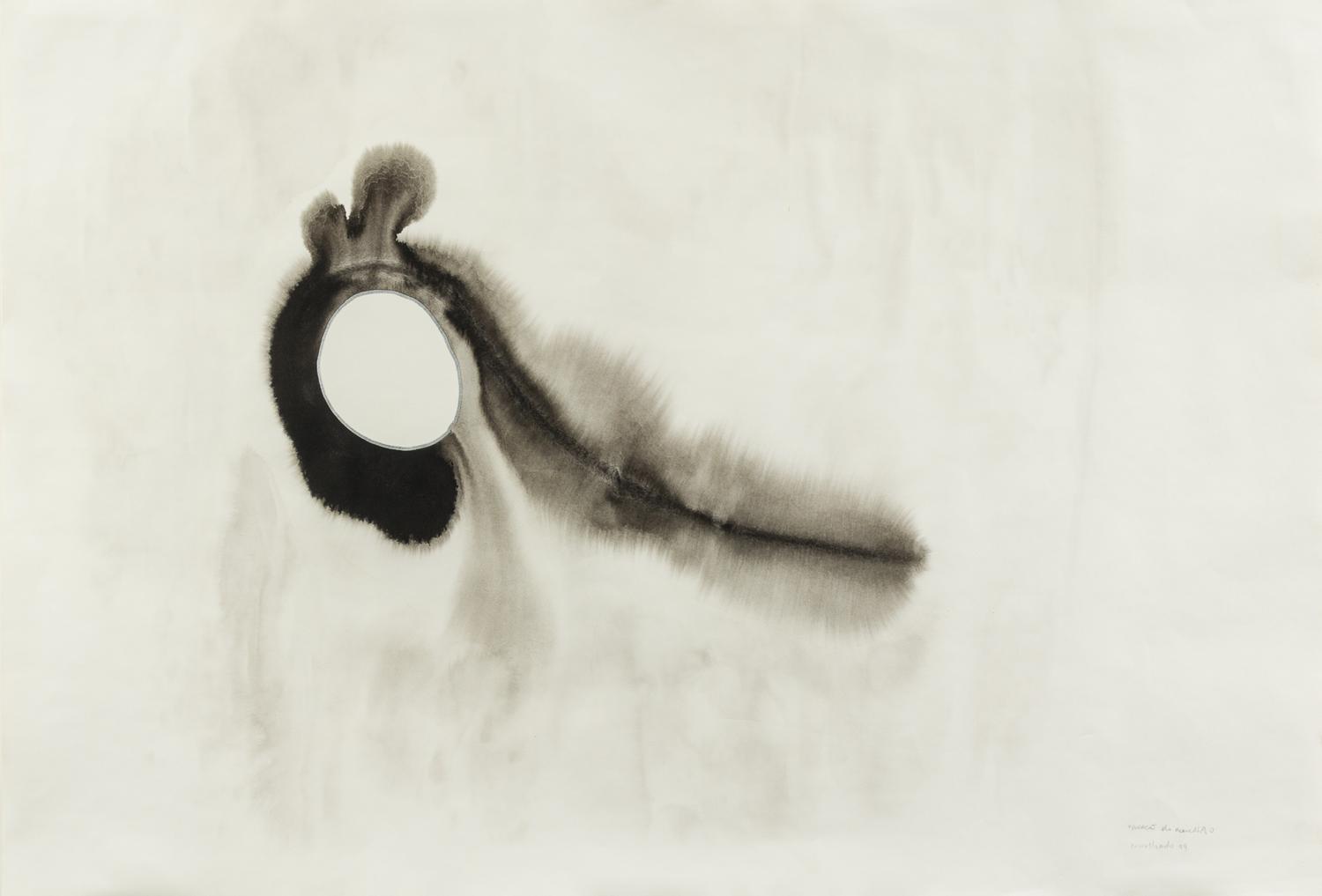 Ernesto Neto, (Brazilian, b. 1964), Operacao Achonchego, 1999