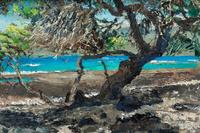 Beach Kiawe