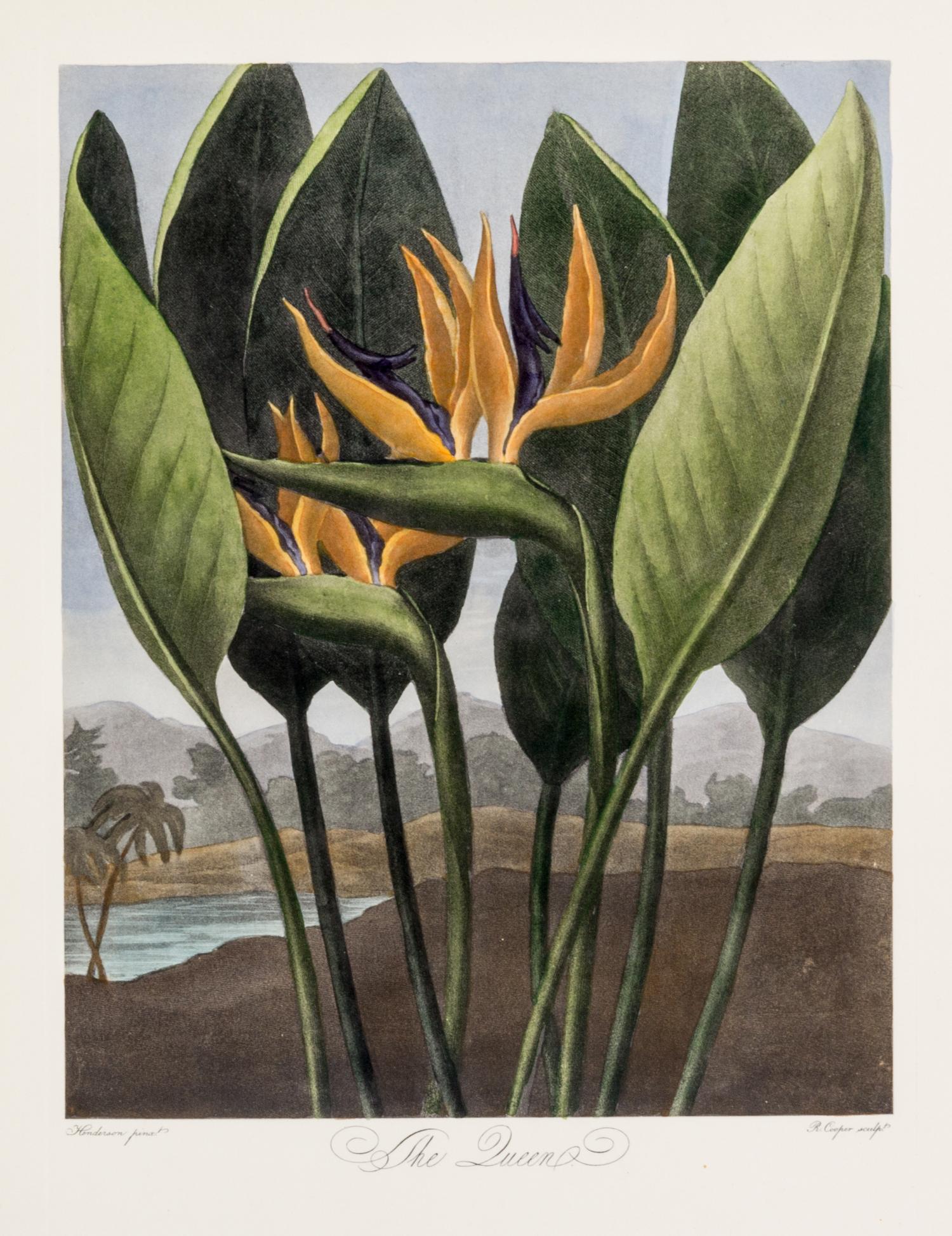 THORNTON, ROBERT, SIR. A group of eight color lithographs from the Temple of Flora, facsimile edition, circa 1951.