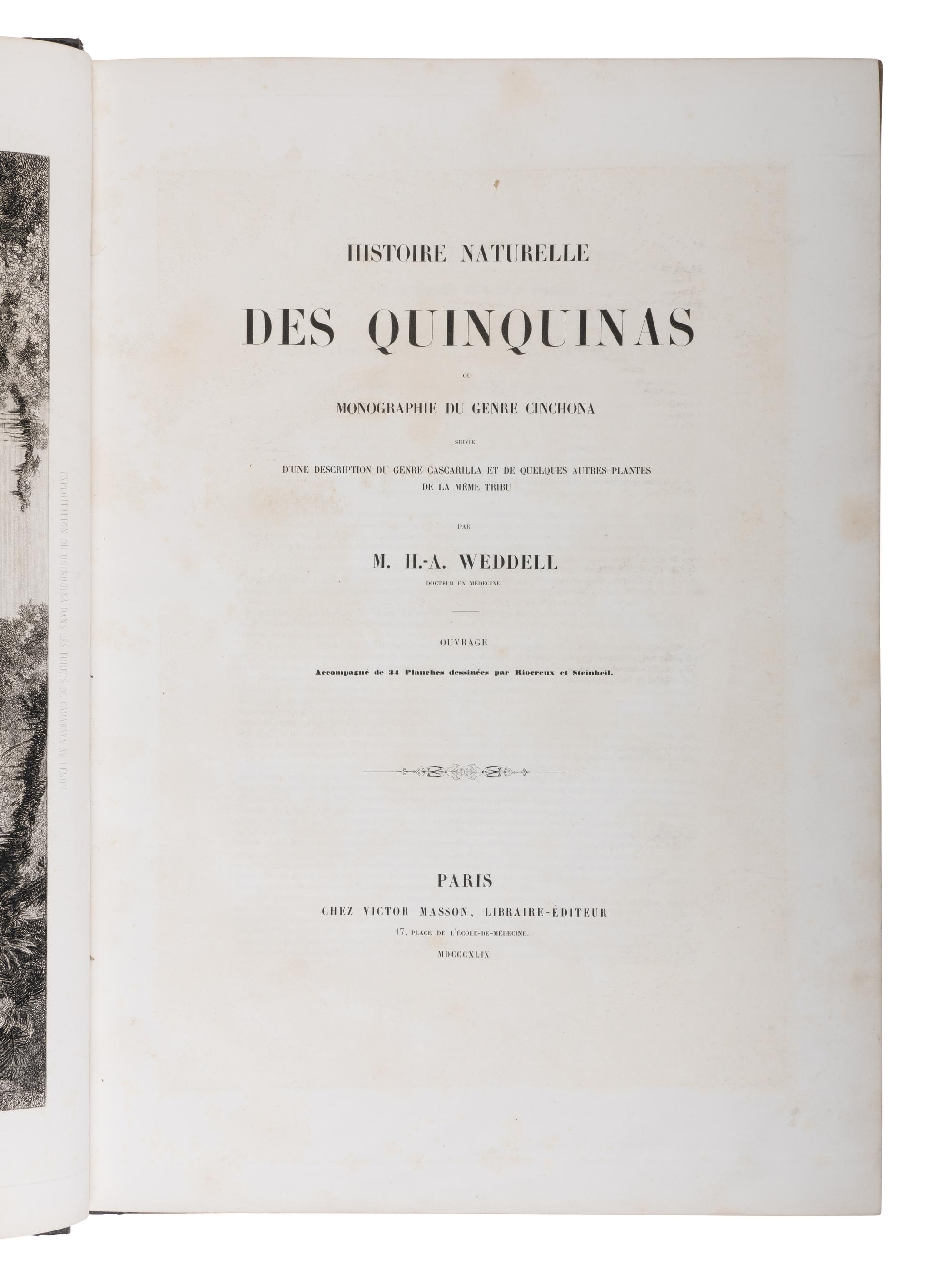[NATURAL HISTORY]. WEDDELL, Hugh Algernon (1819-1877). Histoire Naturelle des Quinquinas, ou Monographie du Genre Chinchona, suivie d'une Description du Genre Cascarella et de quelques autres Plantes de la meme Tribu . Paris: Victor Masson, 1849.