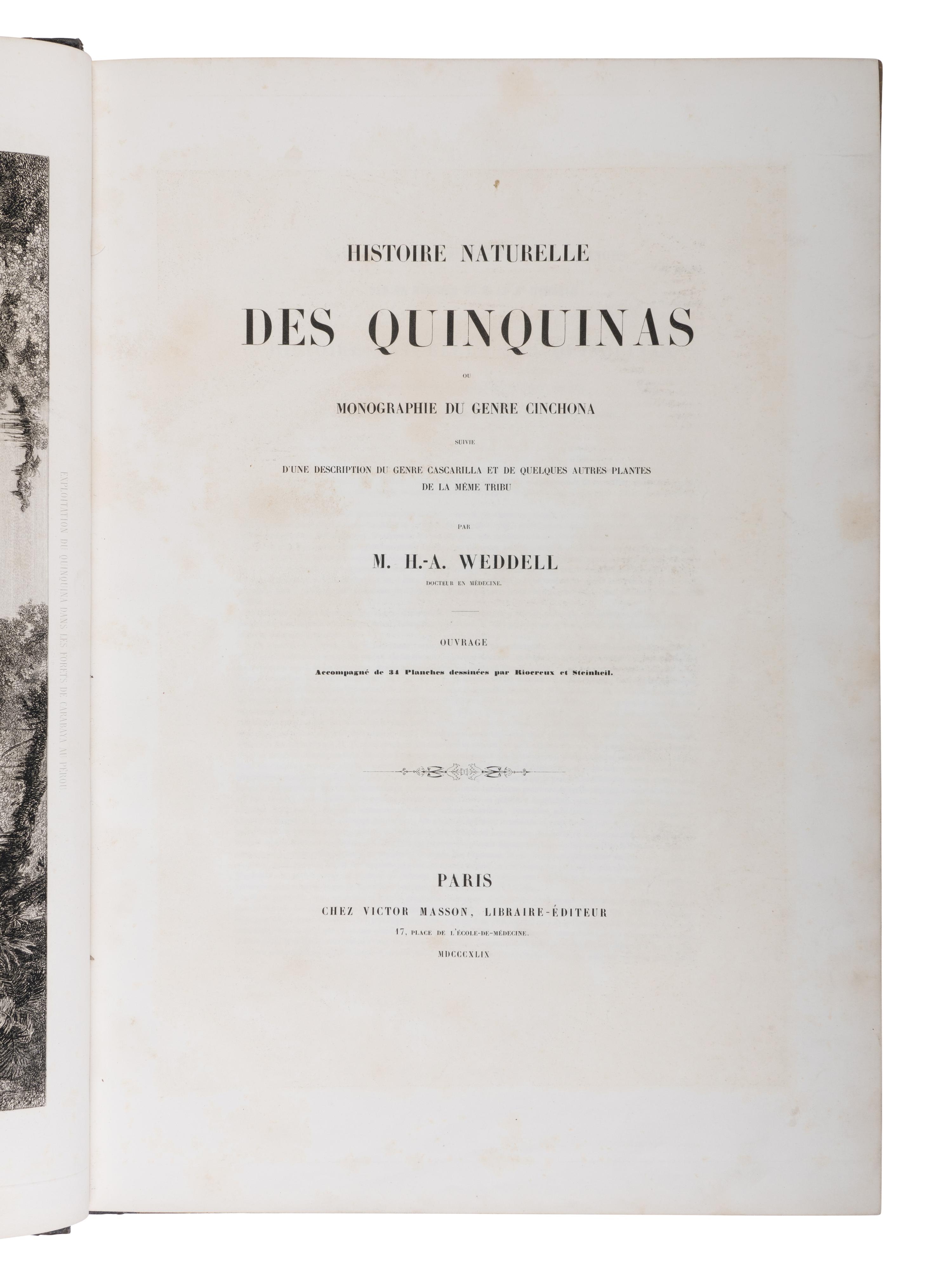 [NATURAL HISTORY]. WEDDELL, Hugh Algernon (1819-1877). Histoire Naturelle des Quinquinas, ou Monographie du Genre Chinchona, suivie d'une Description du Genre Cascarella et de quelques autres Plantes de la meme Tribu . Paris: Victor Masson, 1849.