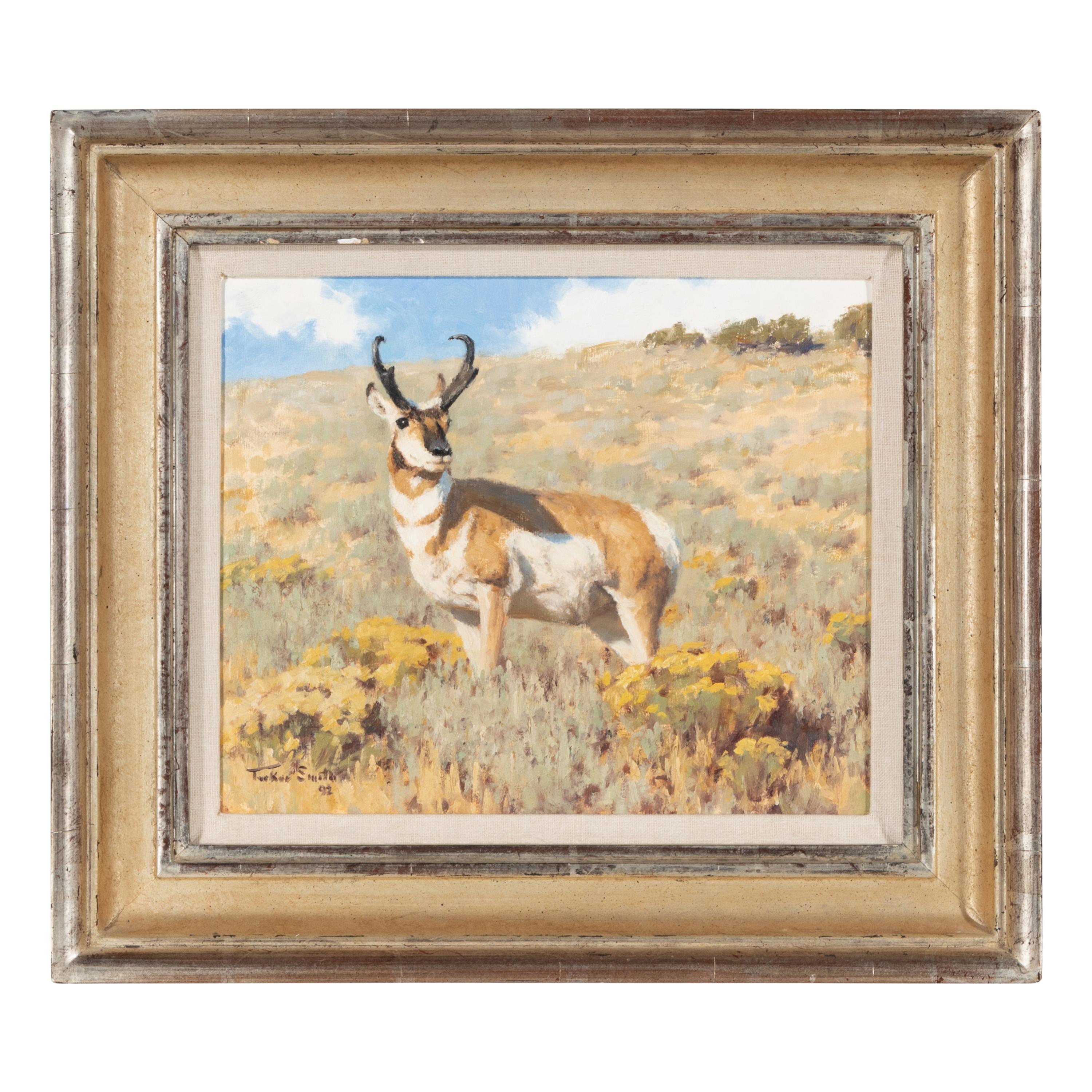 Tucker Smith (American, b. 1940) — Pronghorn on Alert , 1992