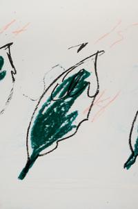 Natural History Part II: Some Trees of Italy (complete portfolio of 8)
