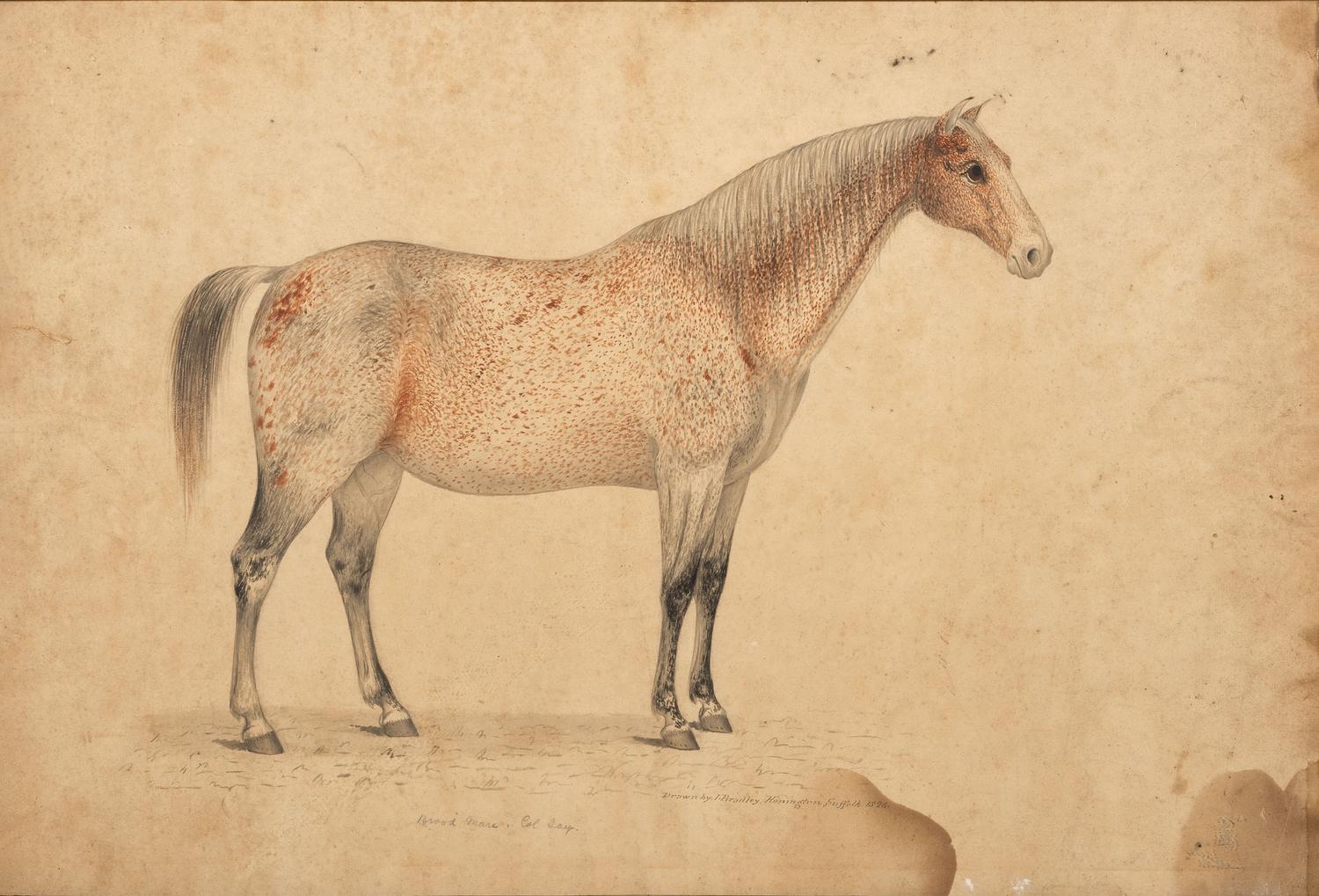 John Bradley (British/American, 19th century)