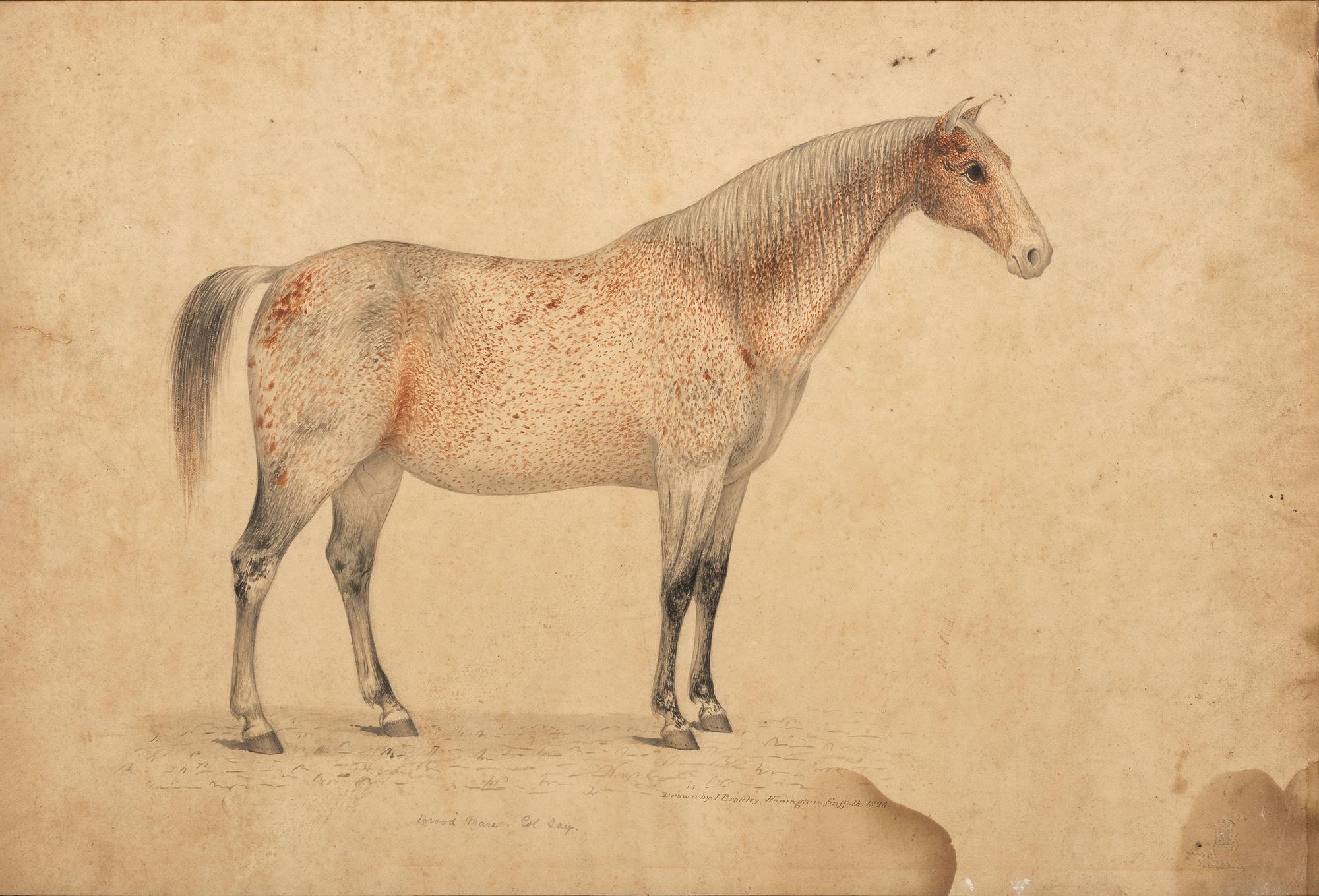 John Bradley (British/American, 19th century)