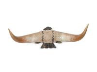 Three Decorative Horn and Antler Mounts