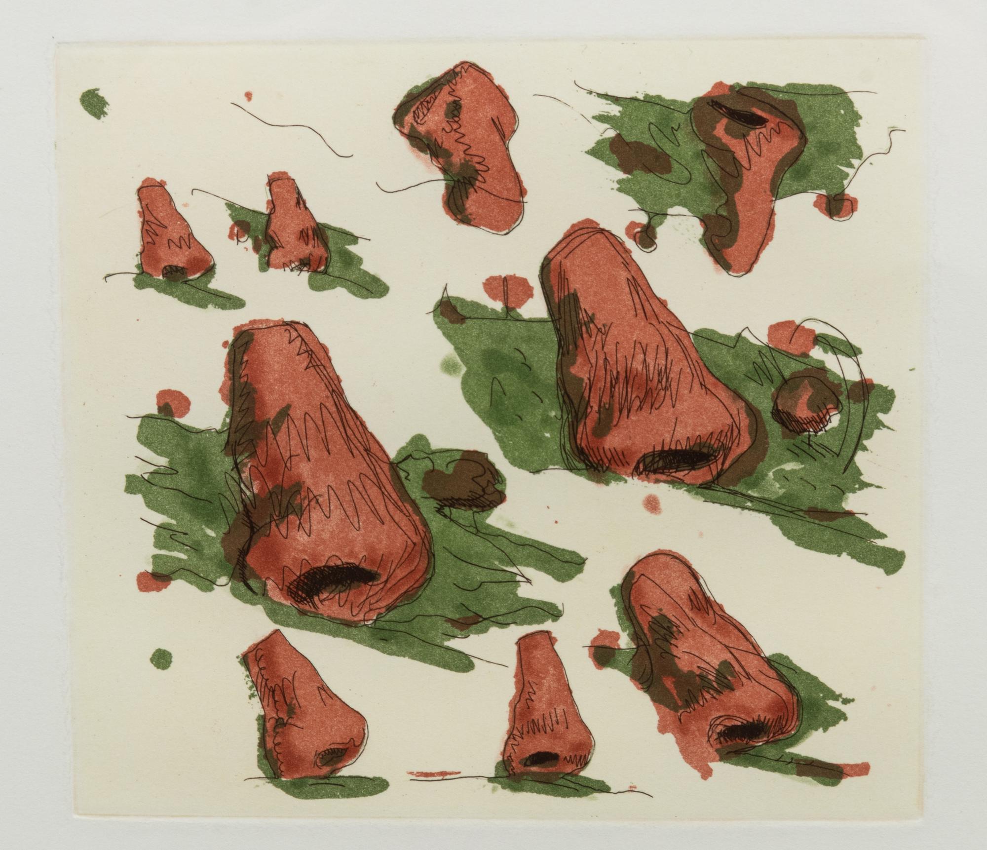Landscape of Noses