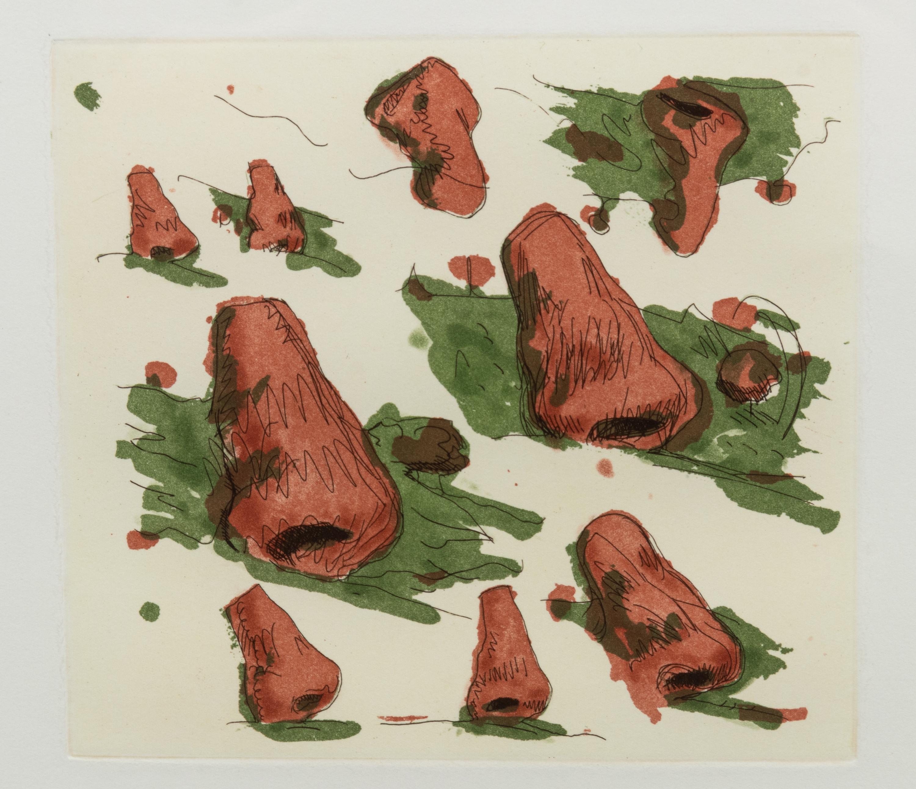 Landscape of Noses
