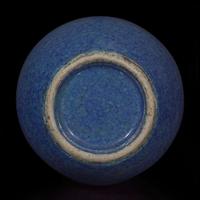 A Chinese "Robin's Egg" blue-glazed porcelain vase 炉钧釉蒜头瓶 Qing dynasty, 18th/19th century ? ???????