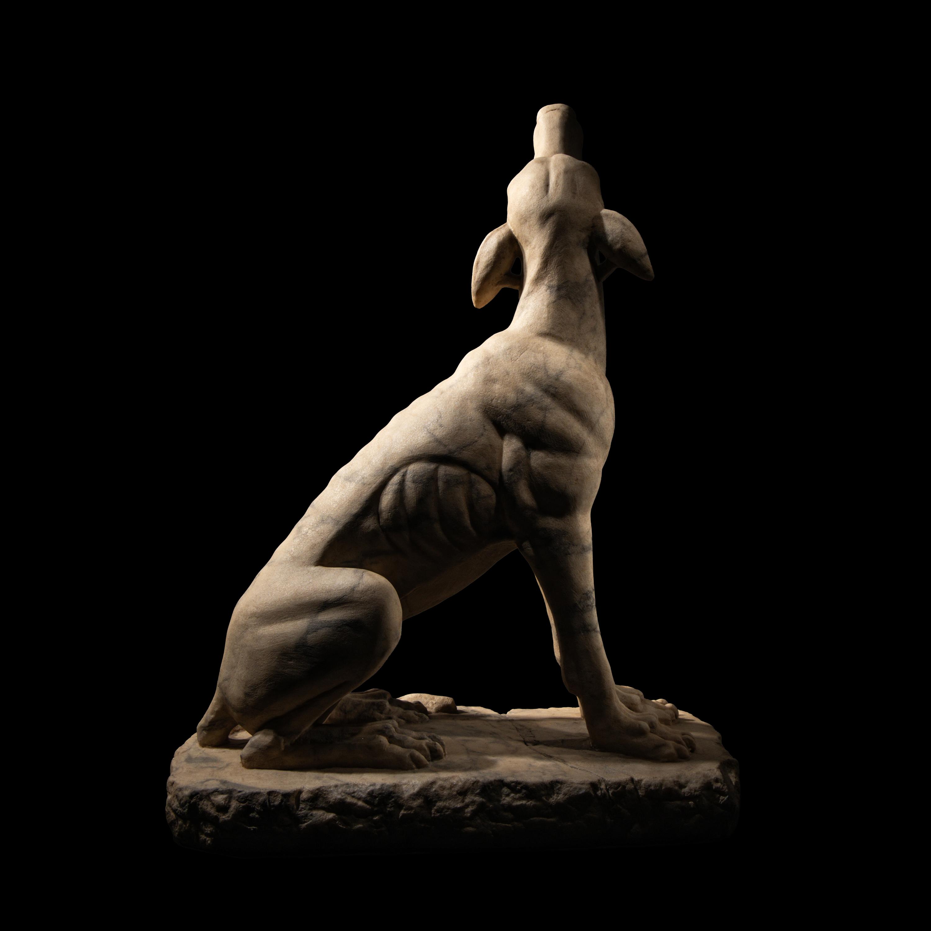 A Roman Pavonazzetto Marble Laconian Hound