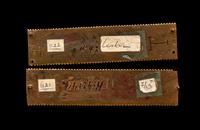 Two Rhenish-Mosan Champlevé and Gilt Copper Rectangular Plaques