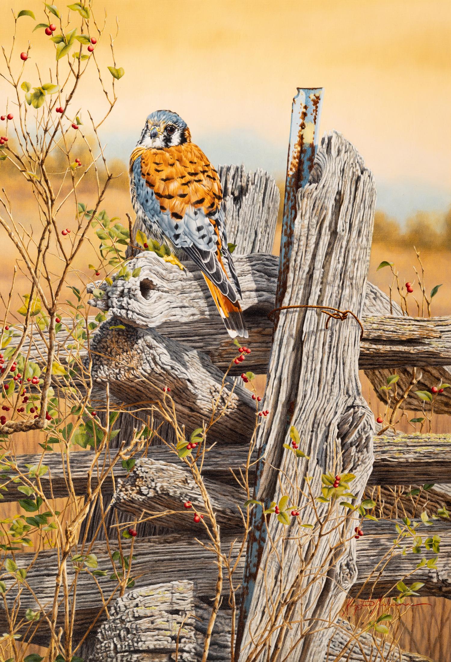 The Weathered Fence