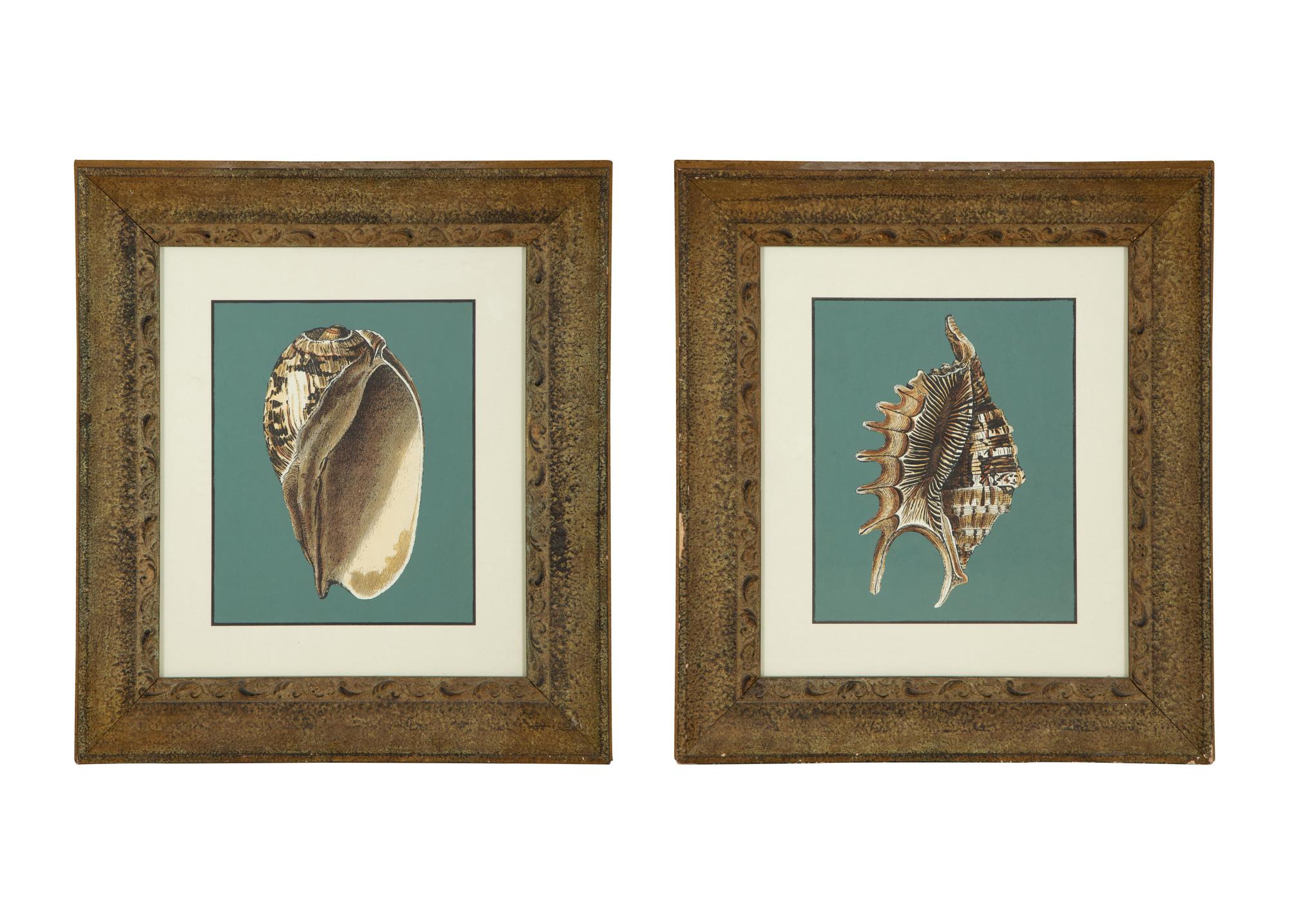 A Pair of Framed Serigraphs of Seashells