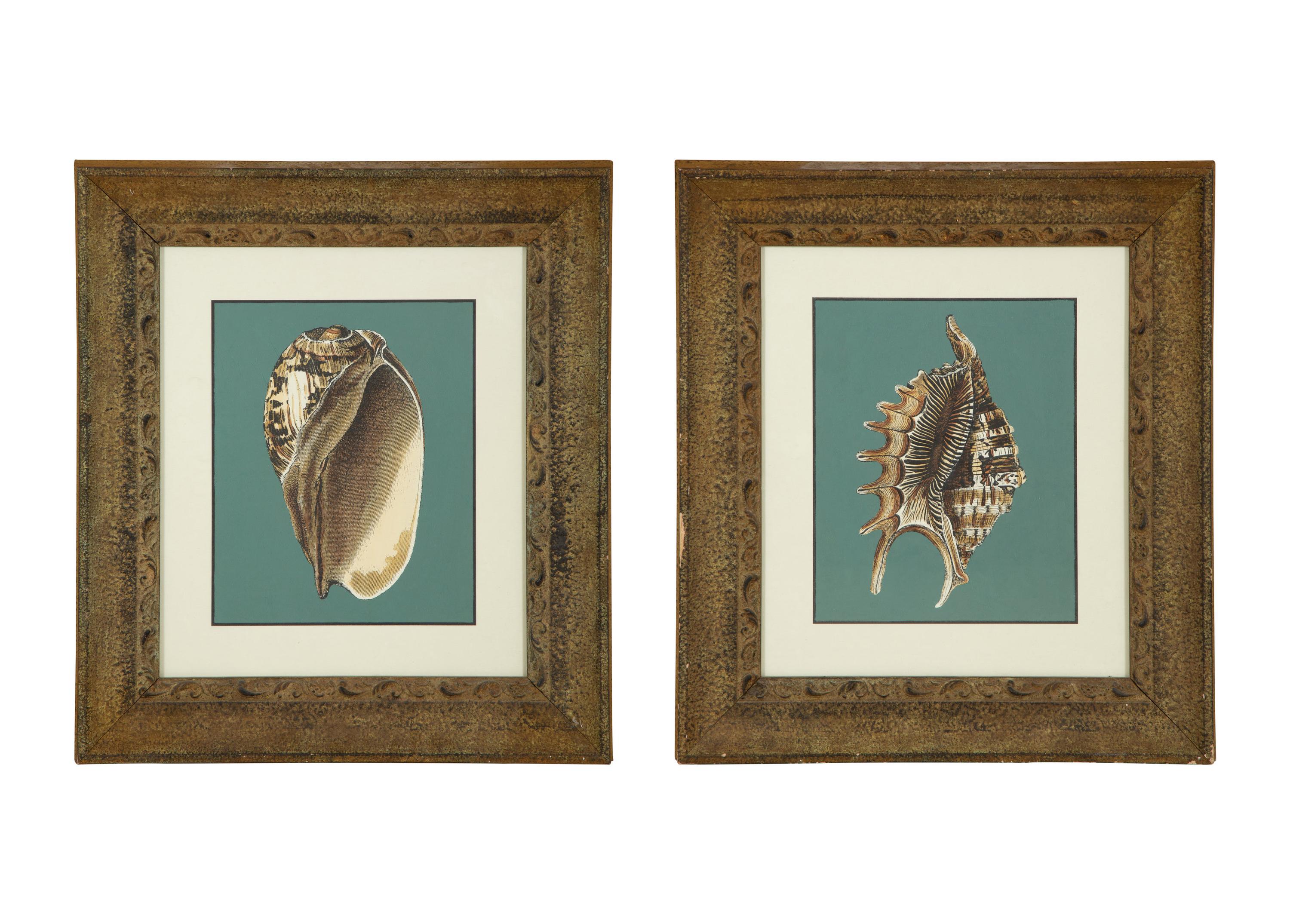 A Pair of Framed Serigraphs of Seashells