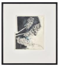 Untitled (Hyacinths), 1991