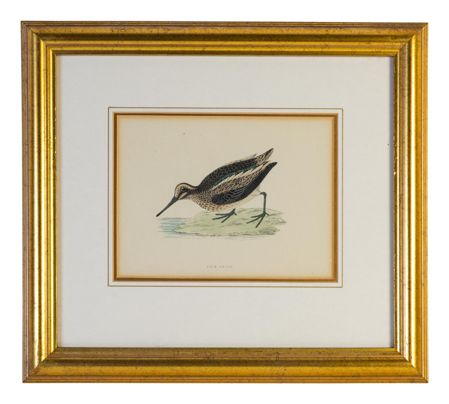 A Group of Twelve Framed Ornithological Prints