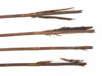 Northern California Sinew-Backed Bow, with Arrows