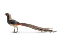 An Austrian Cold-Painted Bronze Pheasant