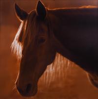 Horse 7 #2/14