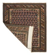 A Shirvan Prayer Rug
