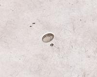A Silver Caudle Cup