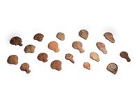 Nineteen Greco-Roman Terracotta Oil Lamps