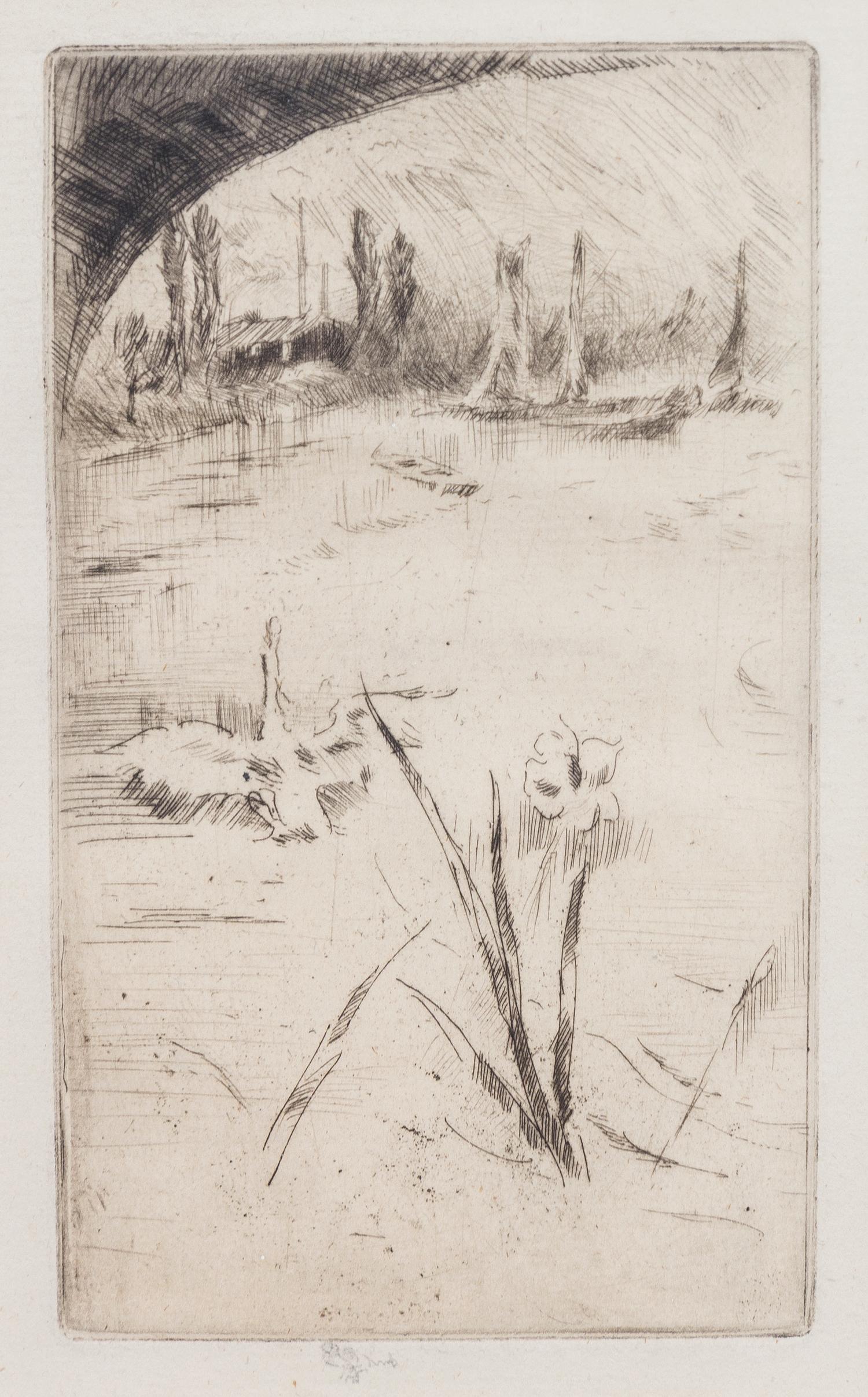 James Abbott McNeill Whistler, (American, 1834–1903), Swan and Iris, 1883