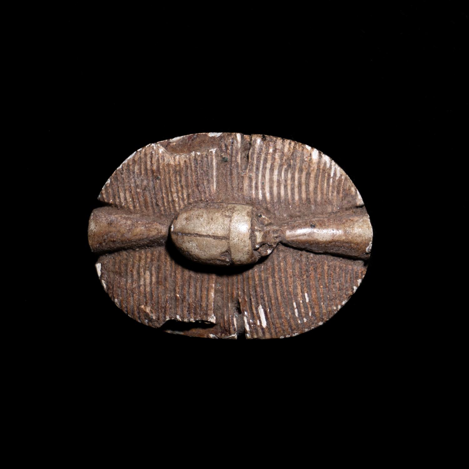 An Egyptian Faience Scarab Bead