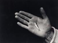 Martha's Vineyard (Hand with Minnow)