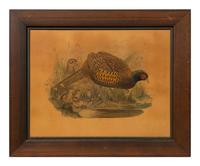 A Pair of Pheasant Prints (19th/20th Century)