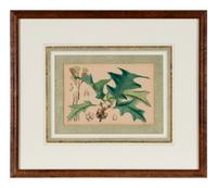 A Set of Eleven Illustrations from Medicinal Plants by Robert Bentley and Henry Trimen