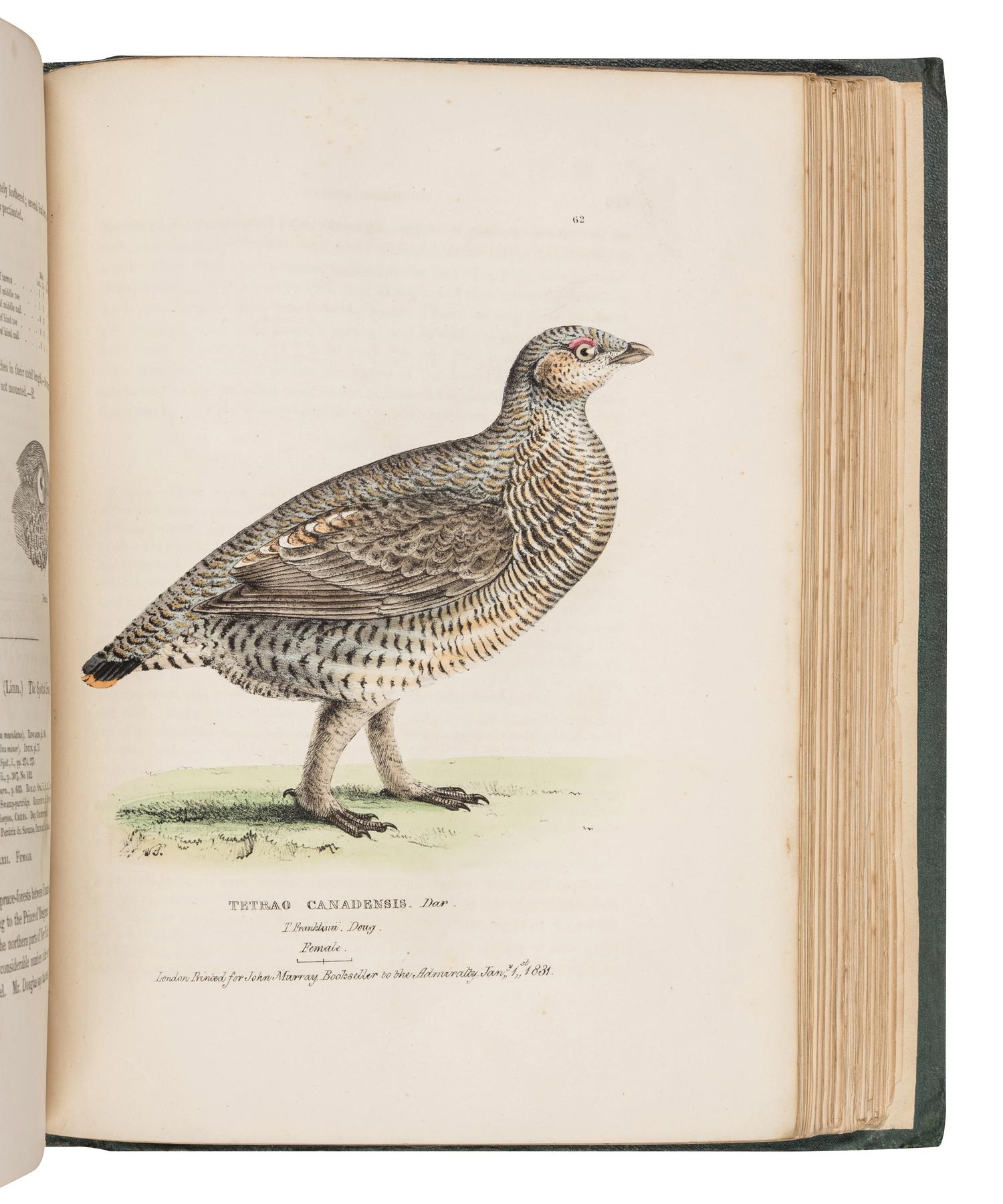 RICHARDSON, John (1787-1865) & William SWAINSON (1789-1855). Fauna Boreali-Americana; or the Zoology of the Northern Parts of British America...Part First, containing the Quadrupeds. -- Fauna Boreali-Americana; or the Zoology of the Northern Parts of British America...Part Second, the Birds . London: John Murray, 1829, 1831.