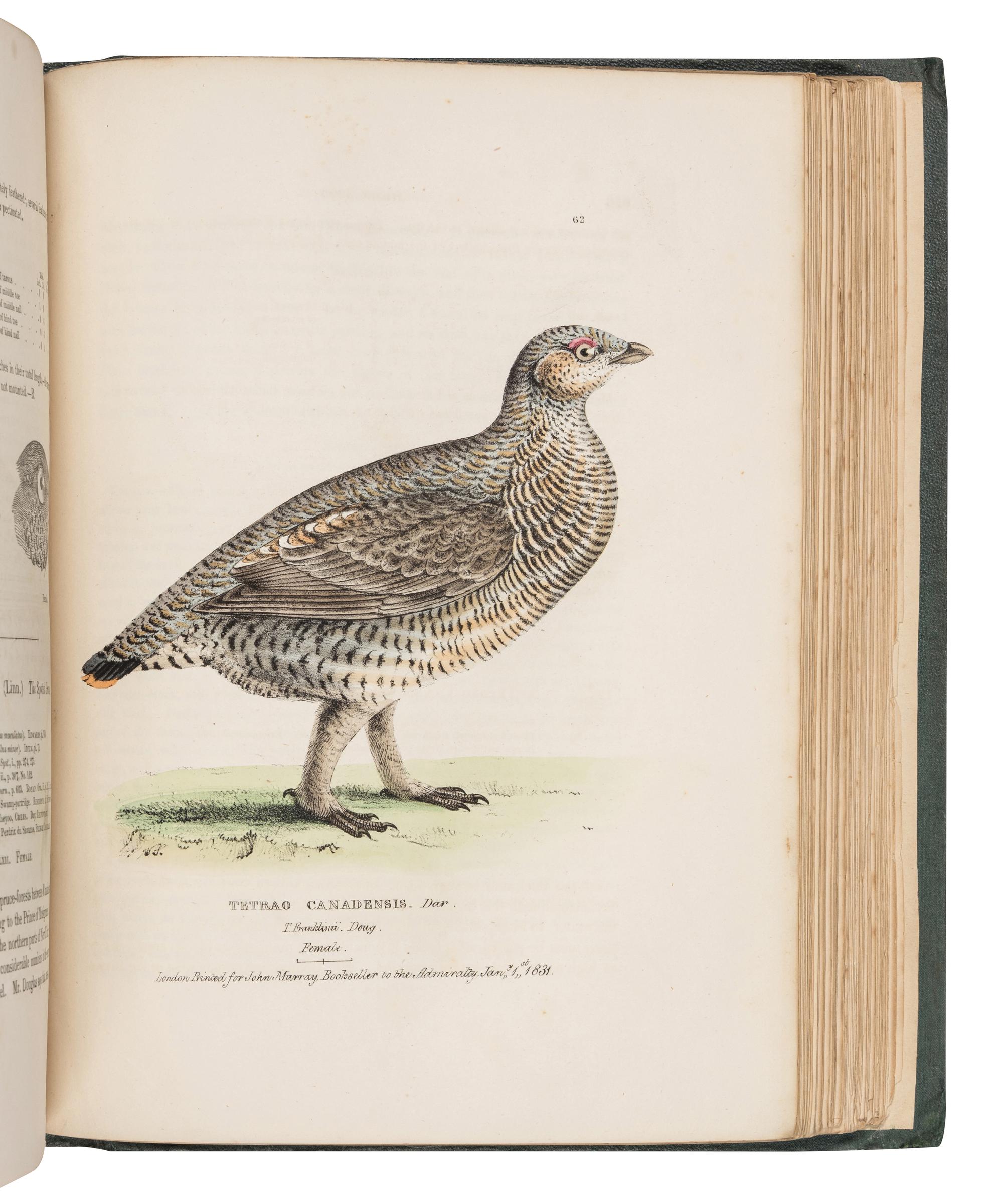 RICHARDSON, John (1787-1865) & William SWAINSON (1789-1855). Fauna Boreali-Americana; or the Zoology of the Northern Parts of British America...Part First, containing the Quadrupeds. -- Fauna Boreali-Americana; or the Zoology of the Northern Parts of British America...Part Second, the Birds . London: John Murray, 1829, 1831.
