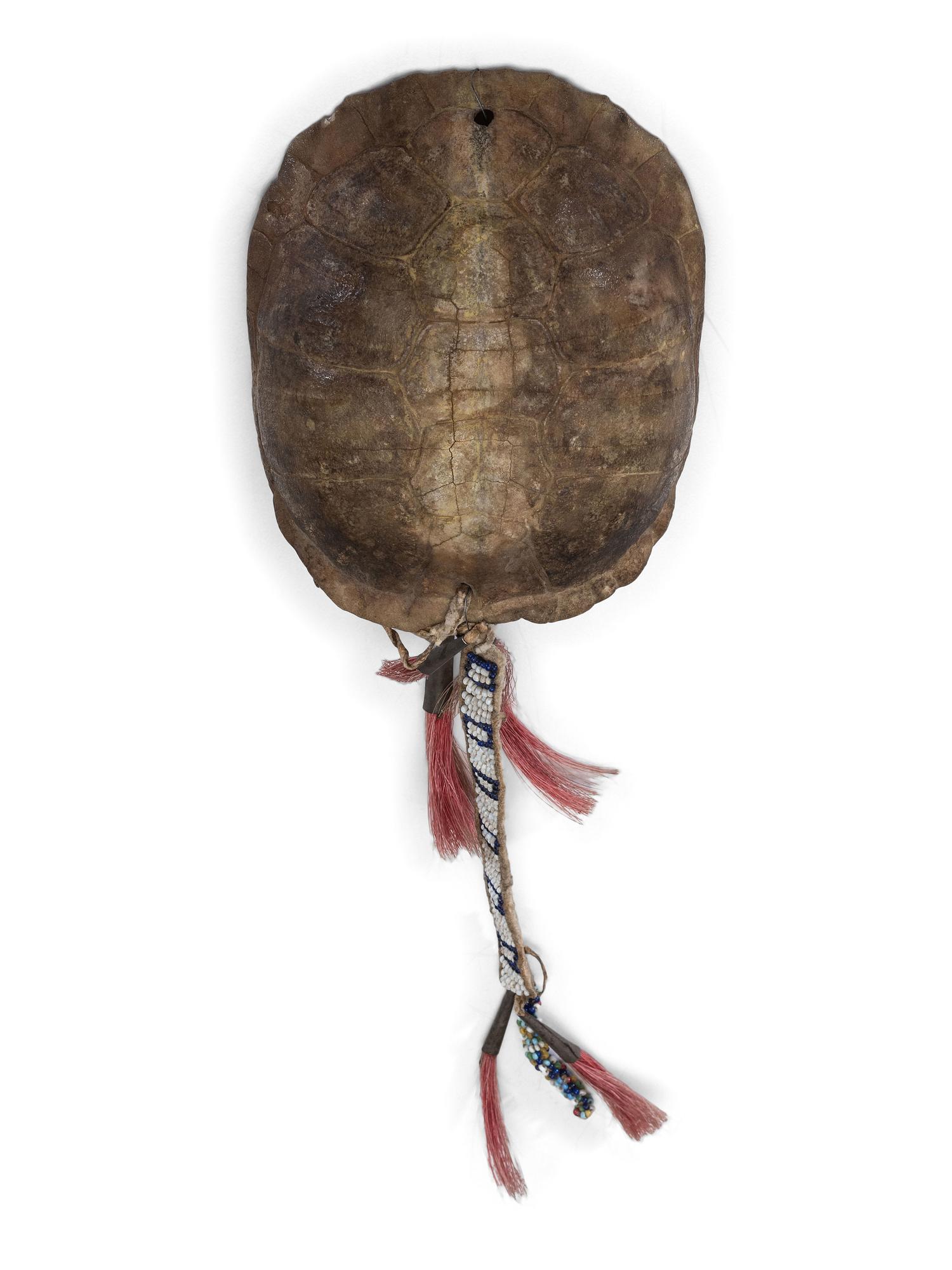 Western Great Lakes Turtle Shell, with Beaded Drop