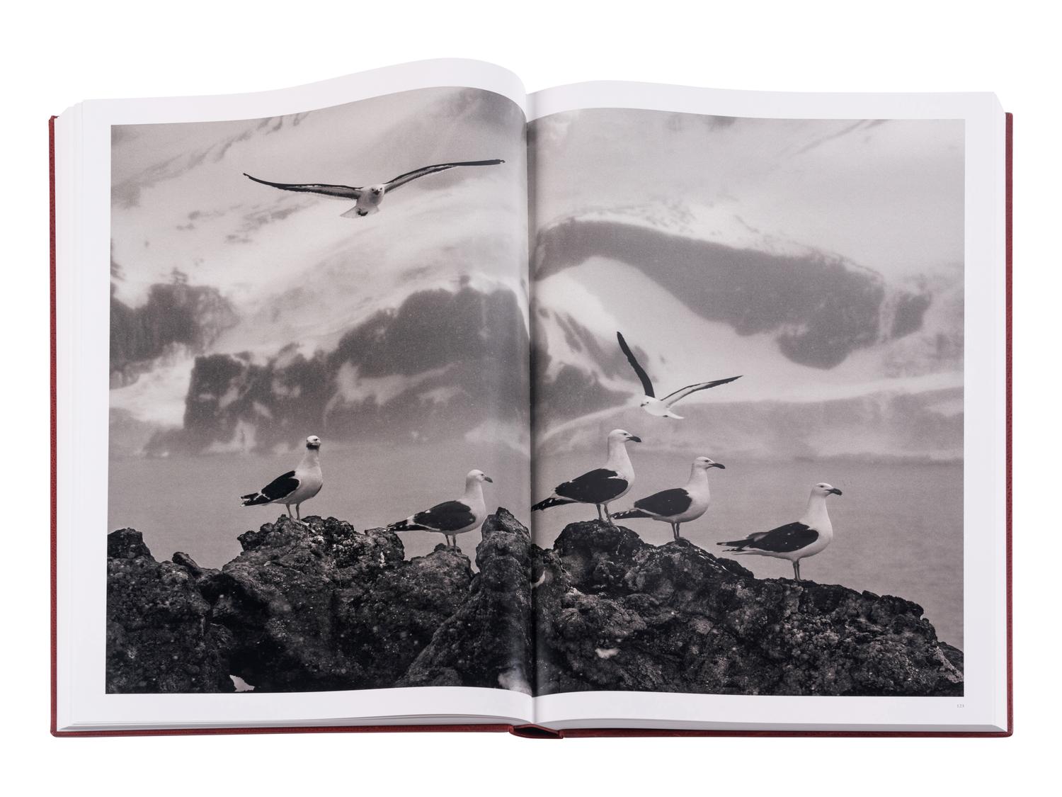 Genesis: Art Edition, Taschen, Paris 2013 (SUMO in two volumes together with booklet, varnished cherry wood lectern designed by Tadao Ando, and signed gelatin silver print Two Mursi Women, Omo Valley, Ethiopia )
