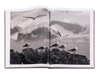 Genesis: Art Edition, Taschen, Paris 2013 (SUMO in two volumes together with booklet, varnished cherry wood lectern designed by Tadao Ando, and signed gelatin silver print Two Mursi Women, Omo Valley, Ethiopia )