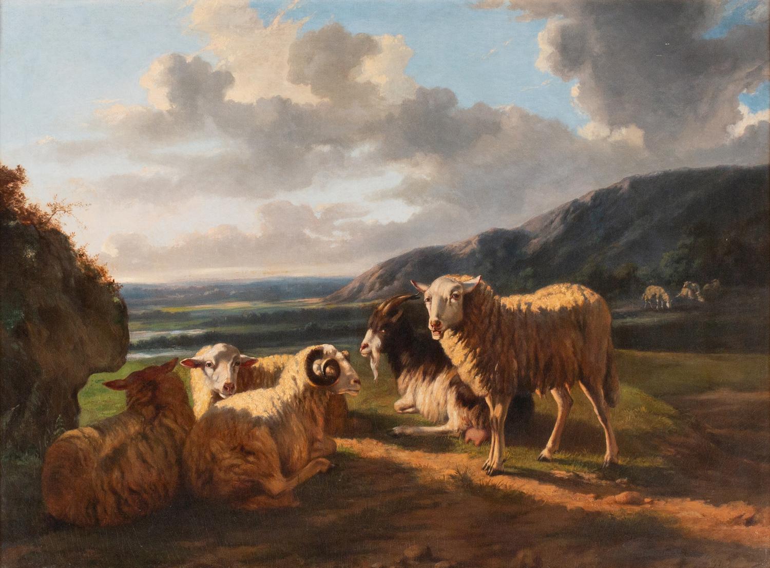 Landscape with Sheep