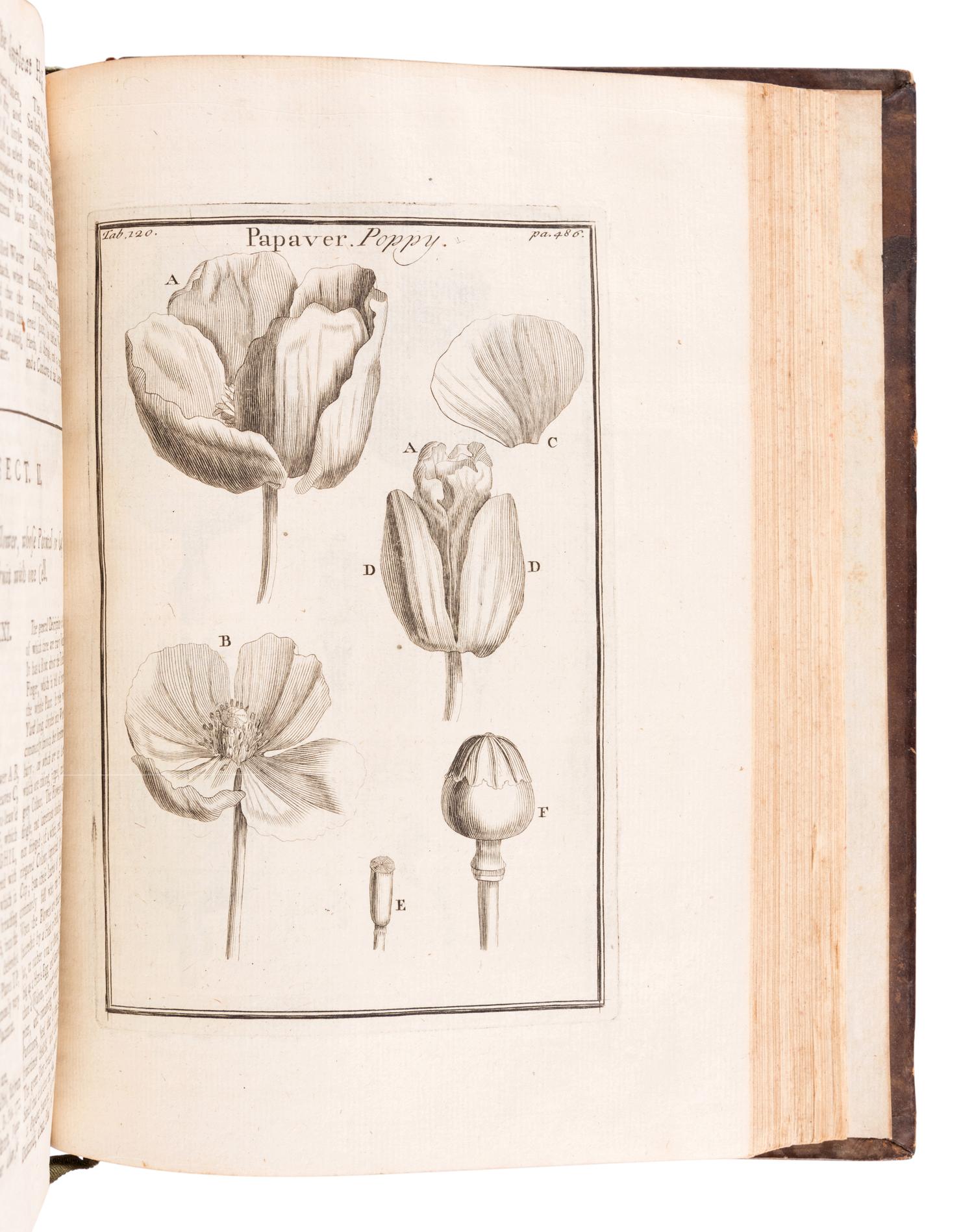TOURNEFORT, Joseph Pitton de (1656-1708). Institutiones rei herbariae . Paris: Typographia Regia, 1700.