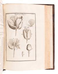 TOURNEFORT, Joseph Pitton de (1656-1708). Institutiones rei herbariae . Paris: Typographia Regia, 1700.